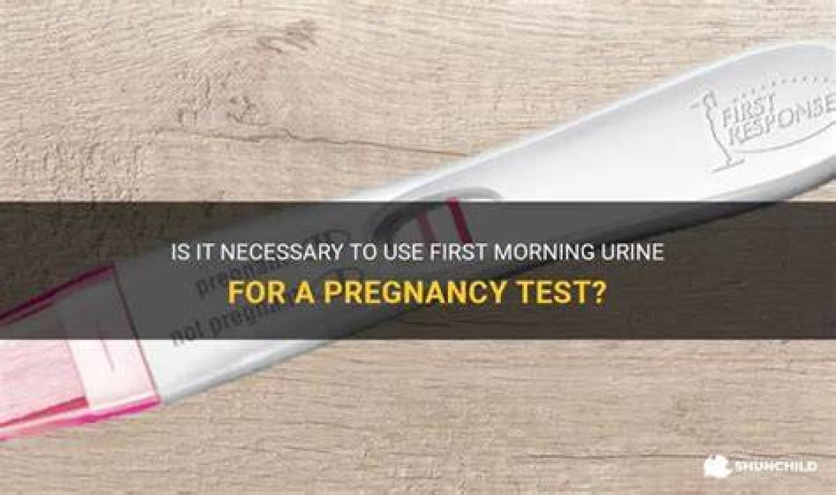 Can You Use First Morning Urine for Ovulation?