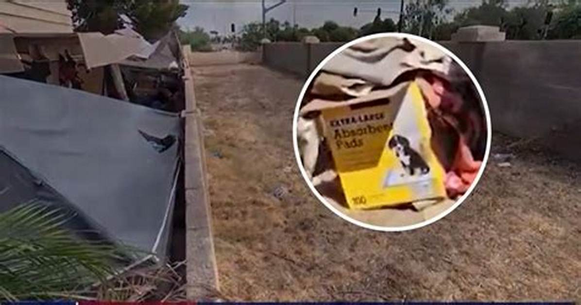 Chandler Cracks Down on Animal Cruelty as It Adopts New Ordinance After 'House of Horrors' Case