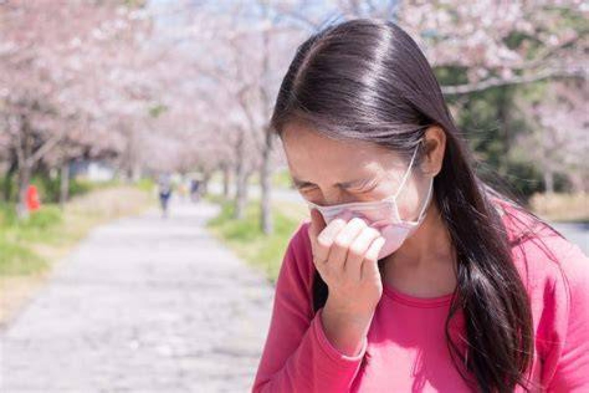 Cherry Blossoms Signal Hay Fever About to Hit One in Four Japanese