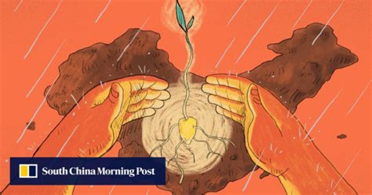 China’s Seeds, in an Agricultural Choke Hold, Must See Breeding Advancements