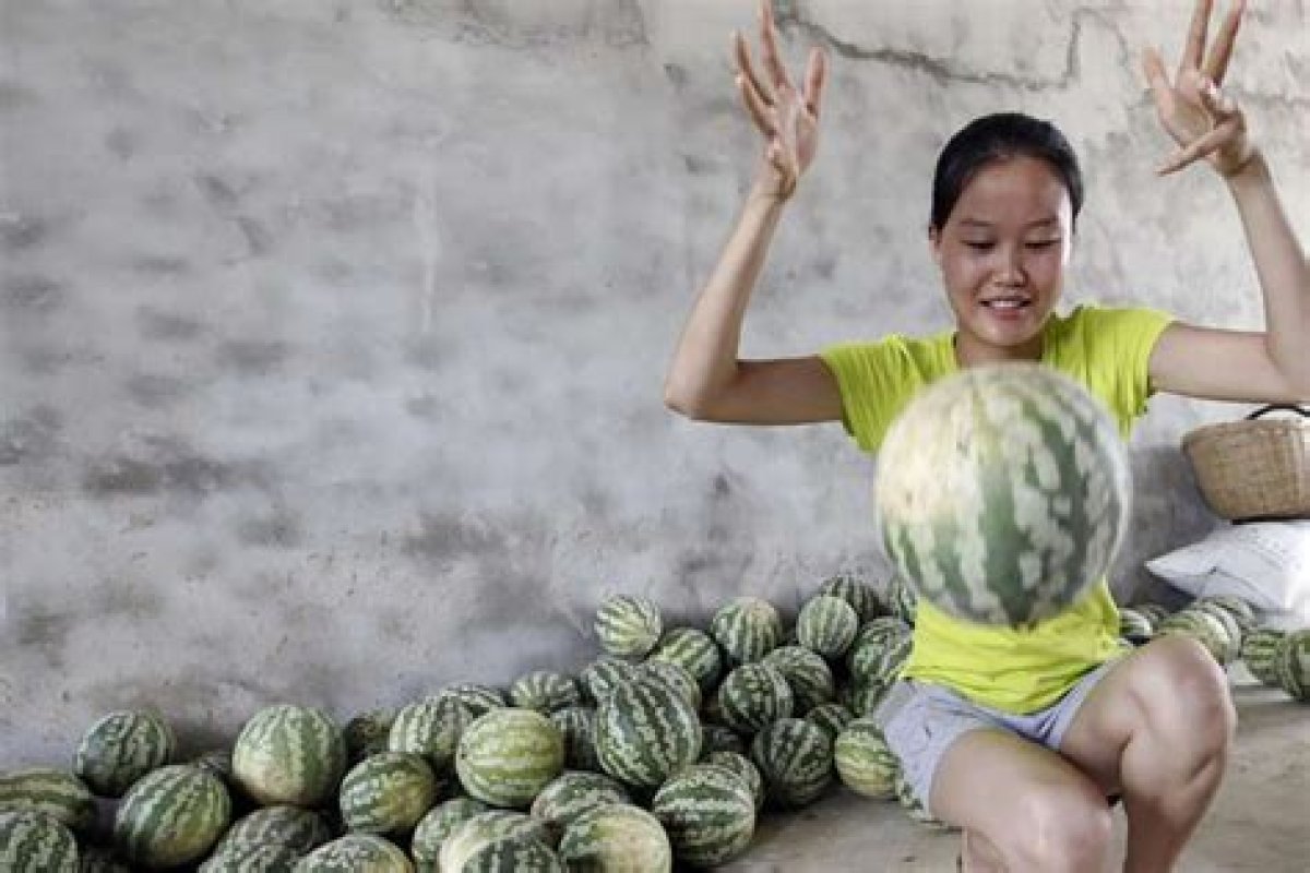 Chinese Farmer Grows Watermelons That Bounce, Have Yellow Flesh and Taste Like Cucumber