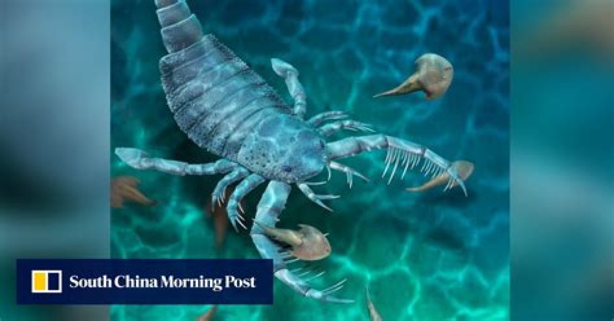 Chinese Scientists Unearth Ancient Underwater Scorpion That Was the Size of a Corgi