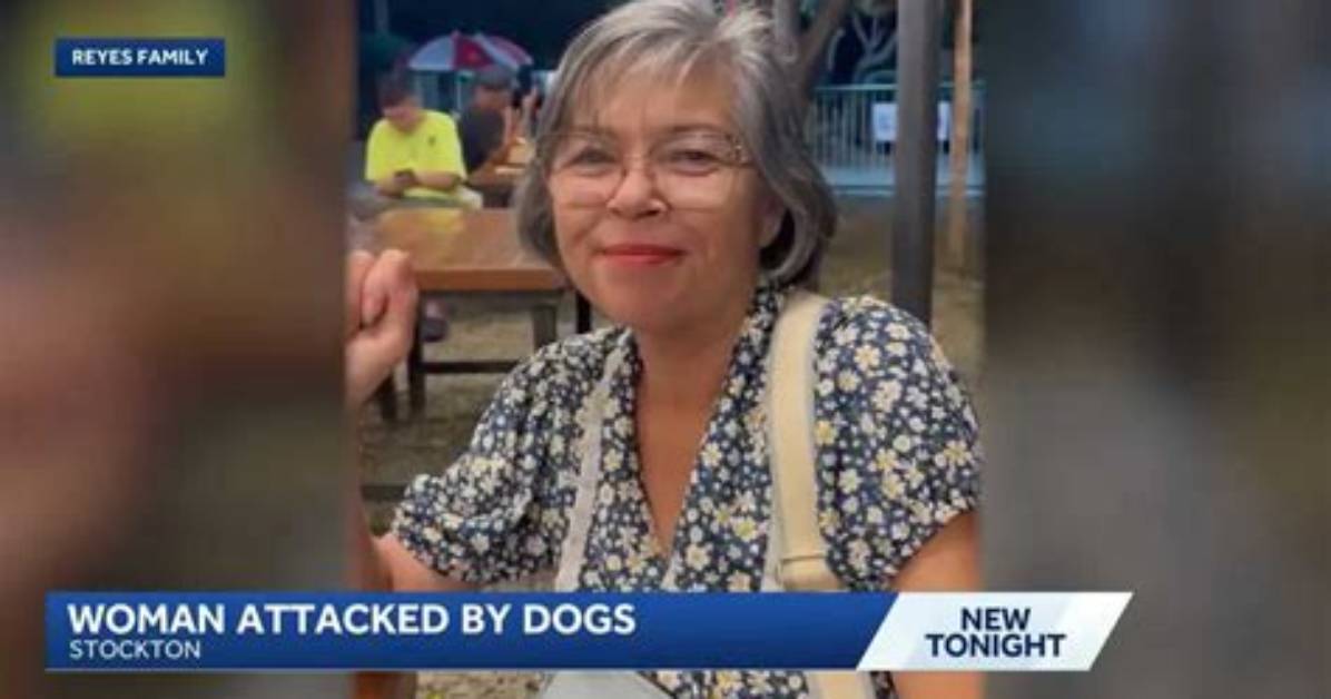 Chinese Woman, 25, Attacked, Injured by Stray Dog in Street
