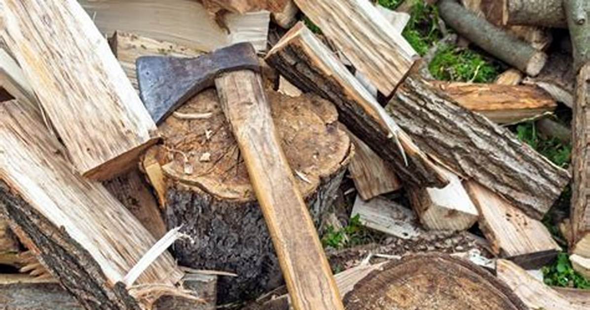 Chopped with a Lumberjack's Tool
