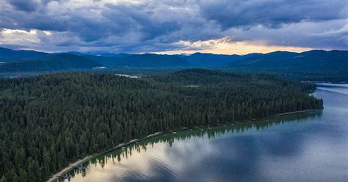 Cody Nelson of Priest Lake, Idaho, Bradford Contractors Worker, Dies in Accident: Obituary