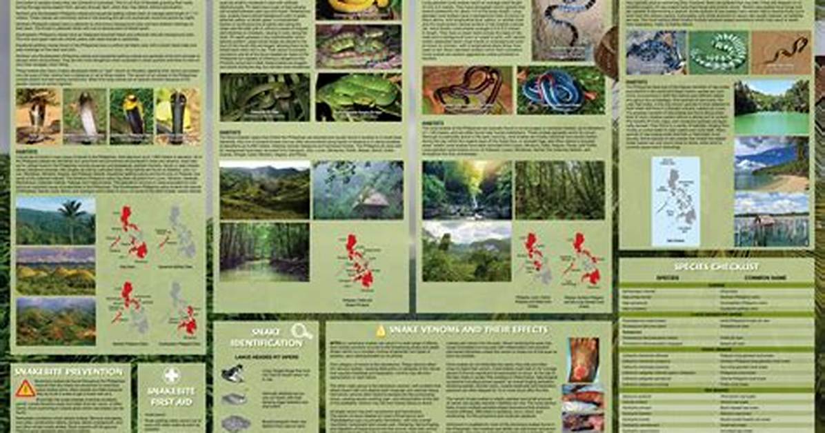 Constrictive Snake