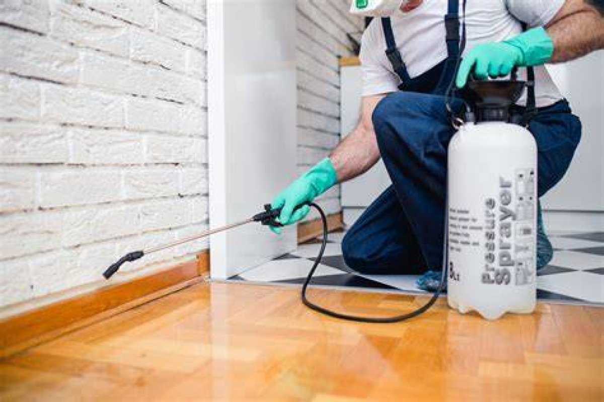 ___ Control (Exterminator's Work)