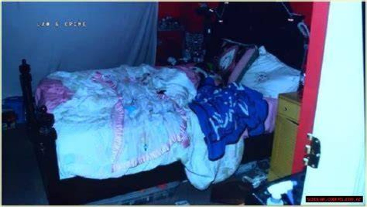 Dee Dee Crime Scene: Unraveling the Mystery Behind a Chilling Case