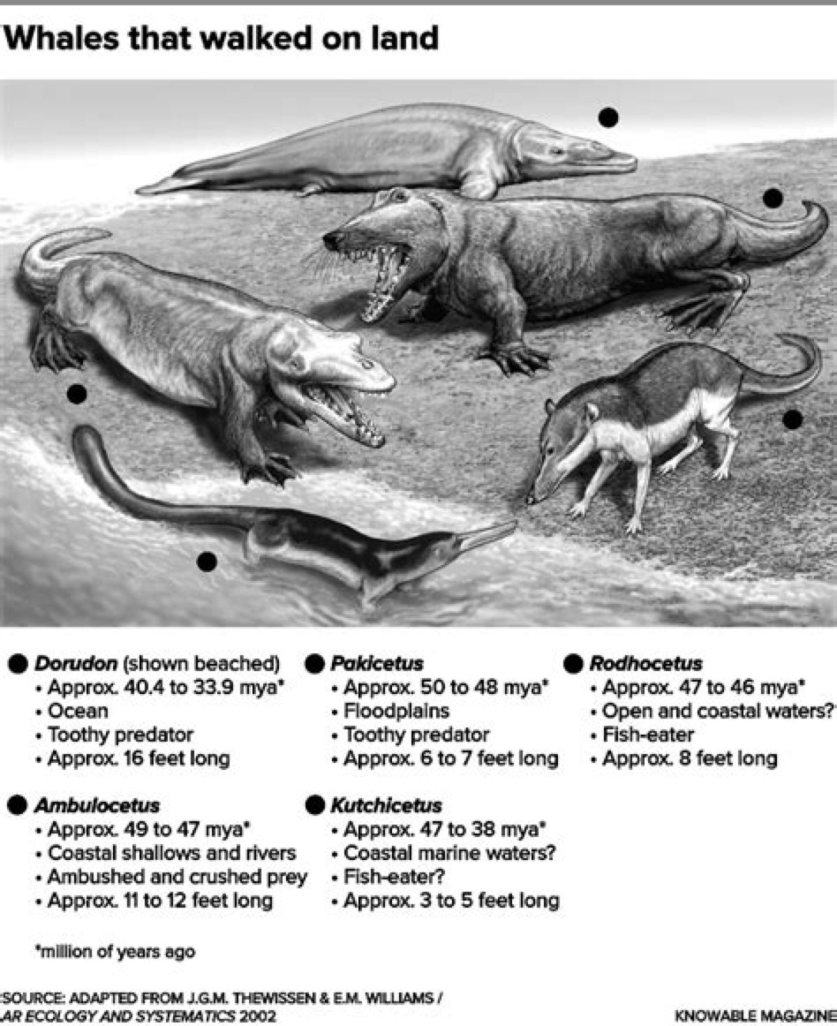 Did Whales Ever Live in the Great Salt Lake?
