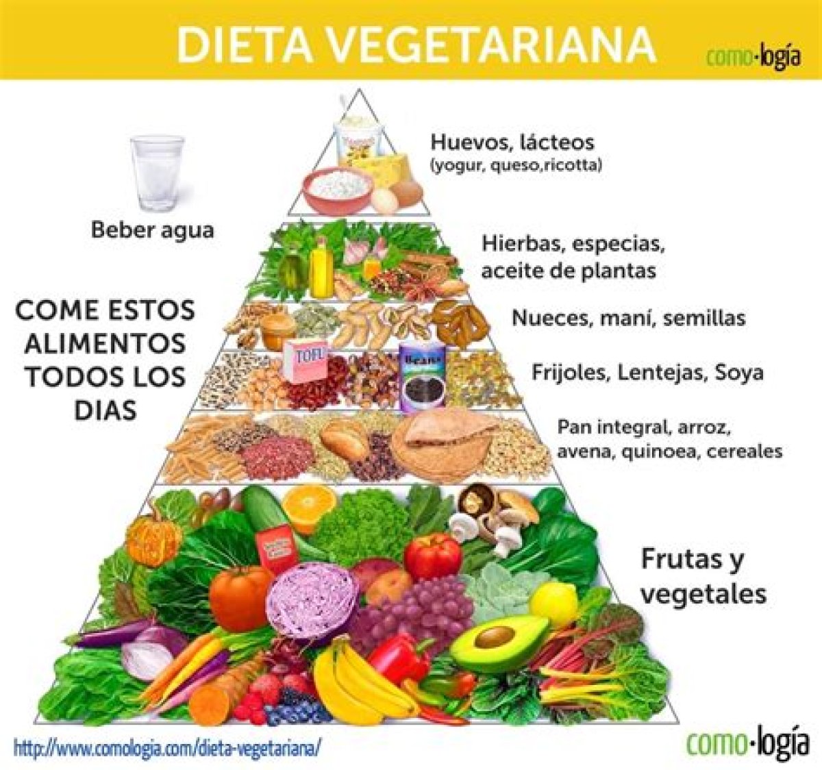 Dieta Vegetariana Para Adelgazar: ¿Cómo Debe Ser?