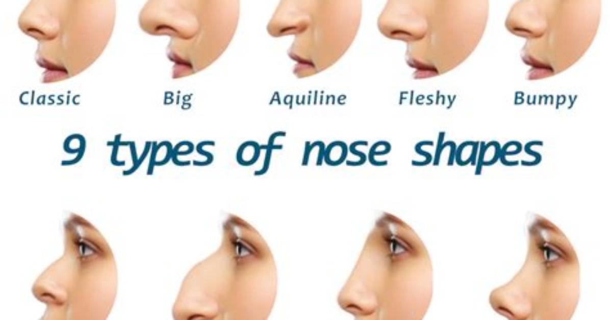 Different Nose Types & Shapes: Know Which One Is Yours