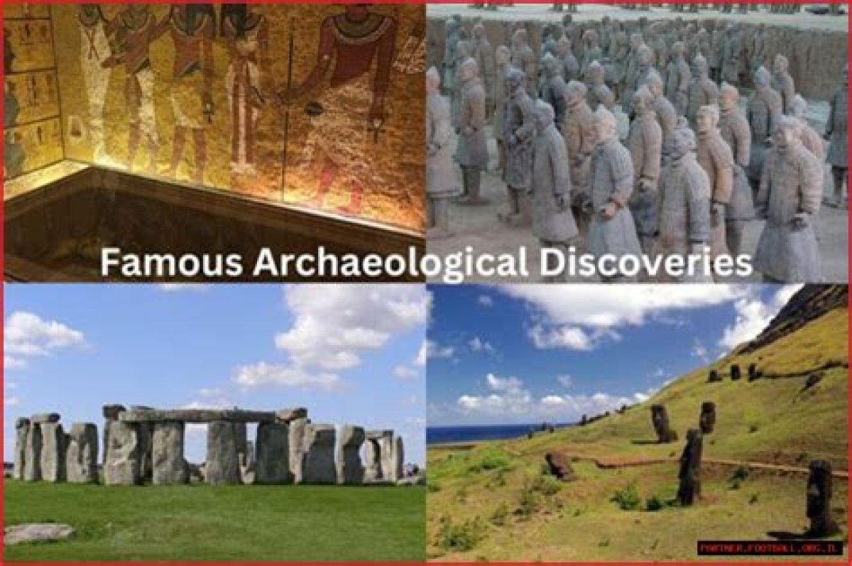 Discoveries and Insights for the Benk13 Niche