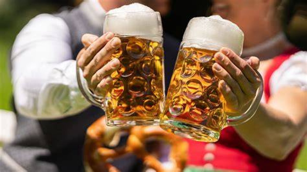 Dive into the Allure of the "Beers to You Saloon": Discoveries and Insights Await