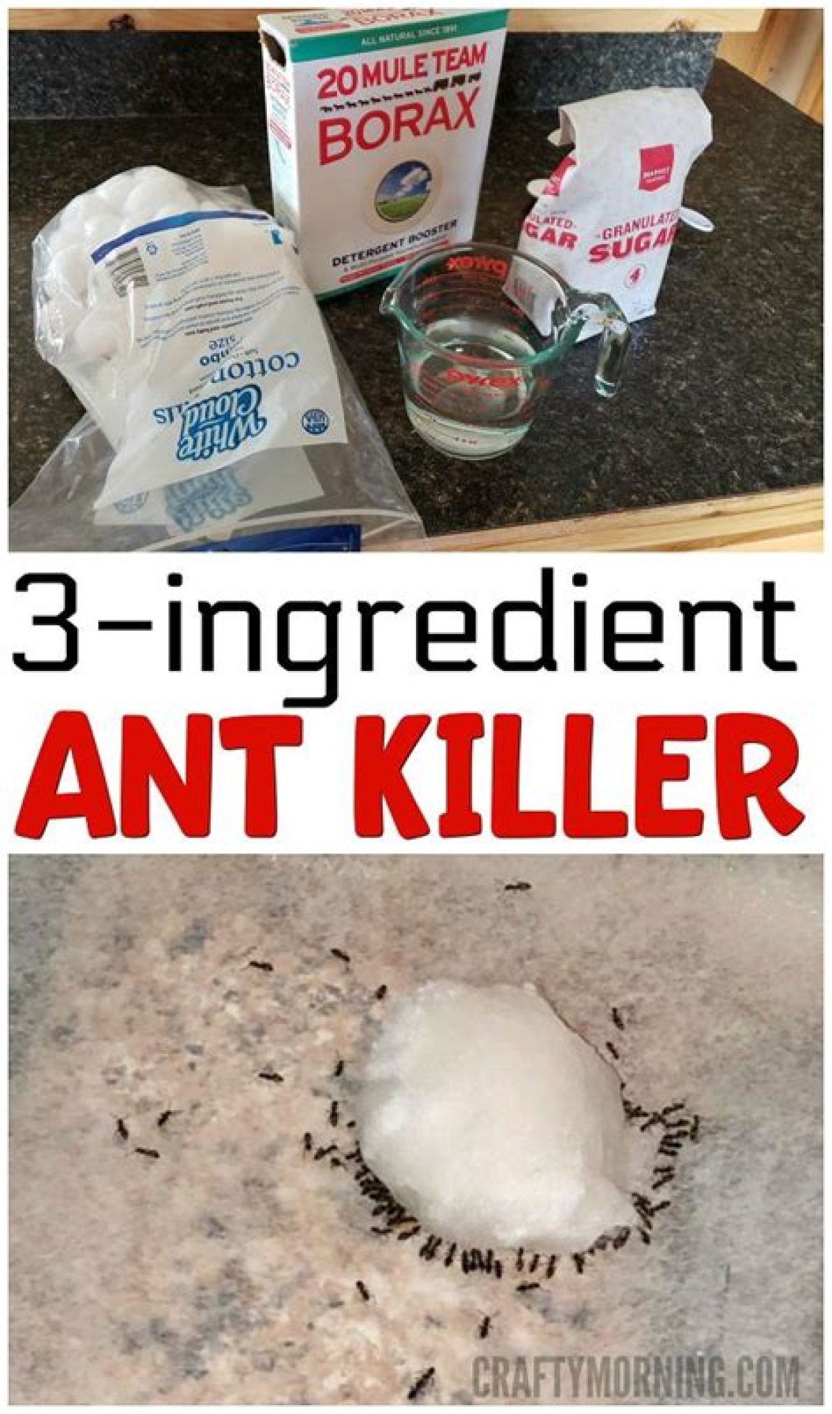 Diy Ant Killer: 9 Genius Home Remedies