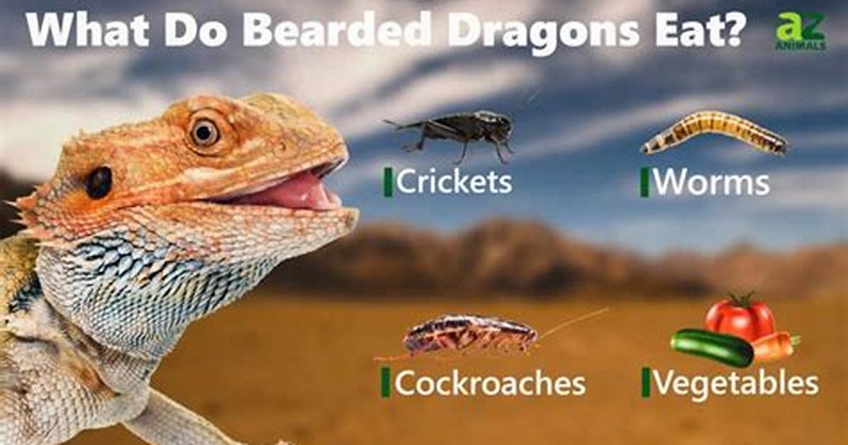 Do Bearded Dragons Eat Snakes?