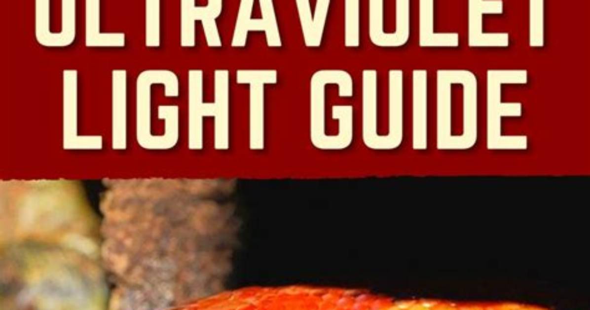 Do Corn Snakes Need Uvb?
