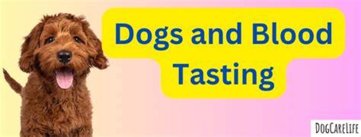 Do Dogs Become Vicious After Tasting Blood?
