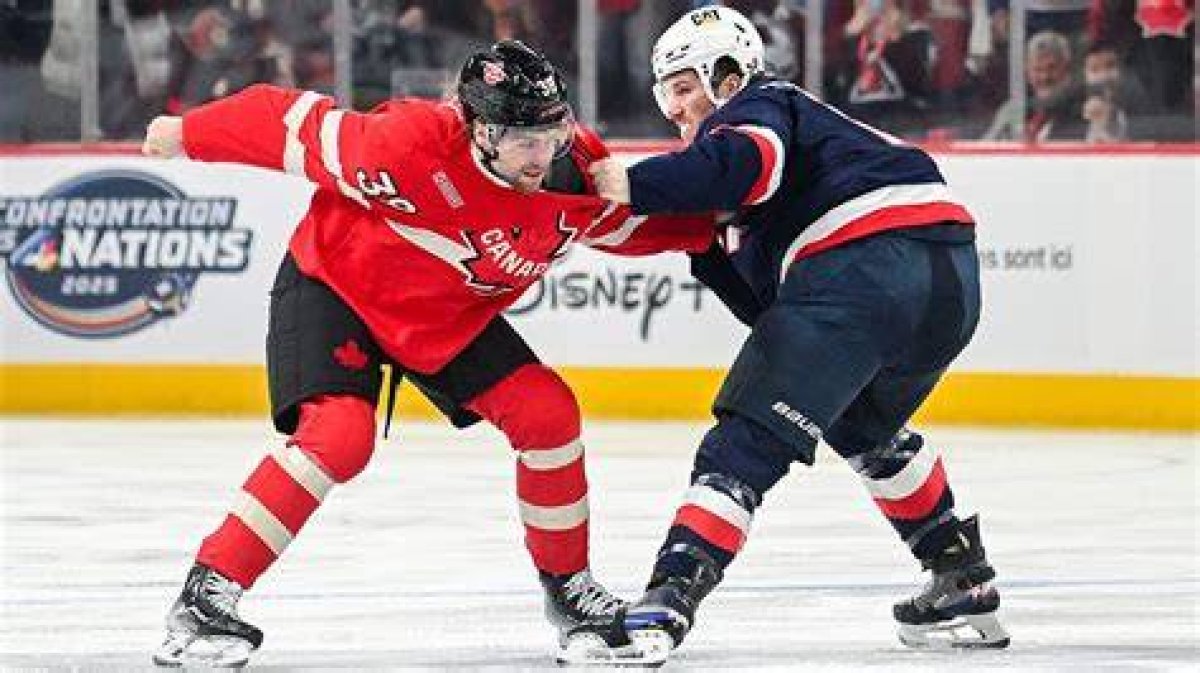 Do Hockey Players Fight Every Game?