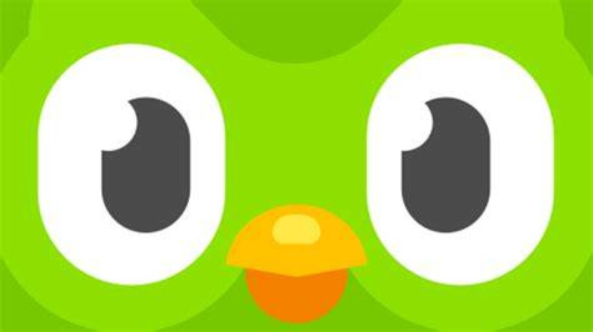 Do You Love Diego in Spanish Duolingo?