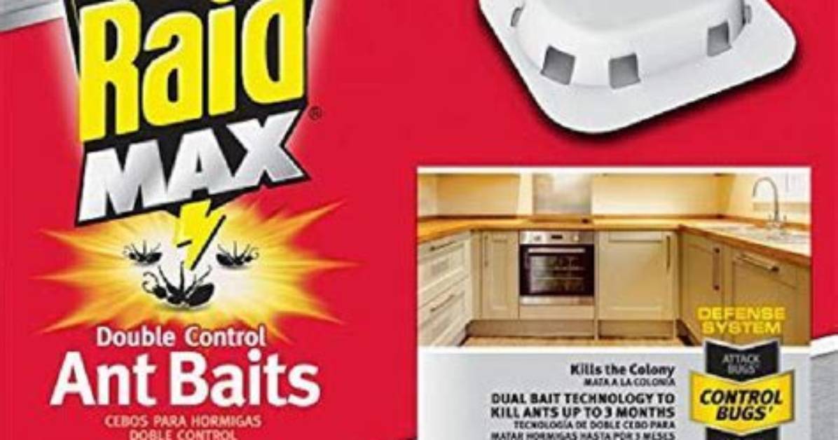 Does Raid Ant Bait Work on Roaches?