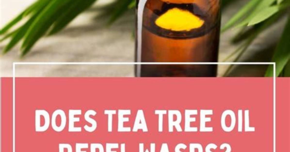 Does Tea Tree Oil Repel Gnats?