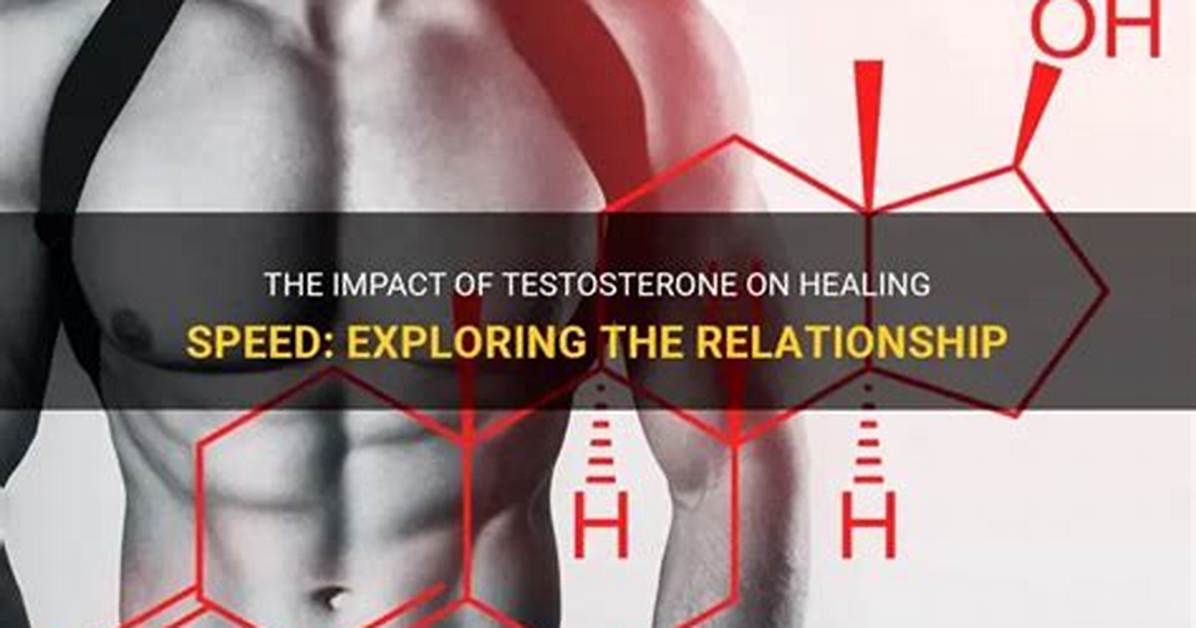 Does Testosterone Help You Heal Faster?