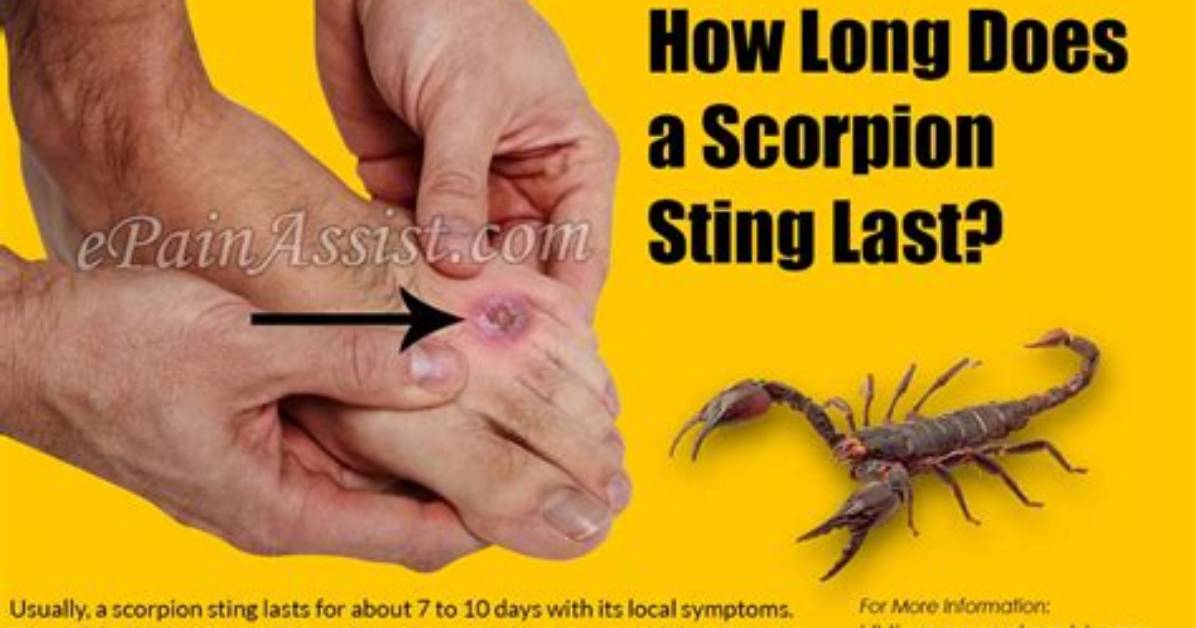 Does Tim Leave Scorpion?