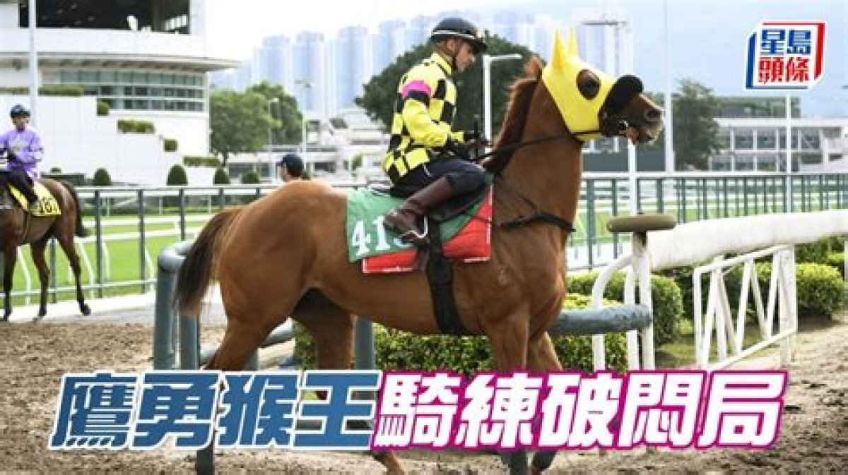 Eagle Run (G415) 鷹勇猴王 | Horses | Hk Racing