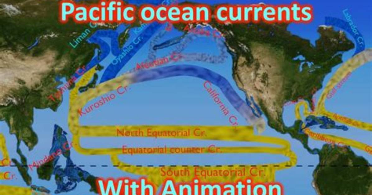 El ___ (Pacific Ocean Current)