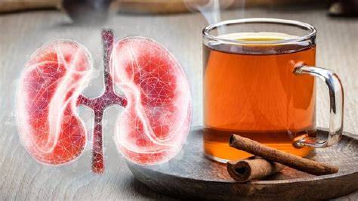 El Tabaco Perjudica Seriamente Los Riñones