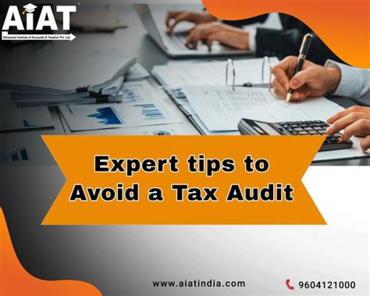 Expert Consulted on a Tax Audit: Abbr.