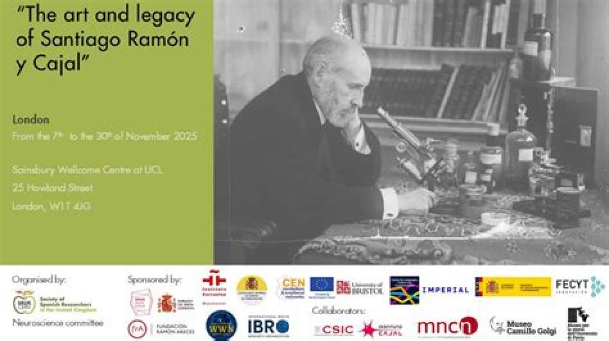 Exploring the Life and Legacy of Ramón Estevez