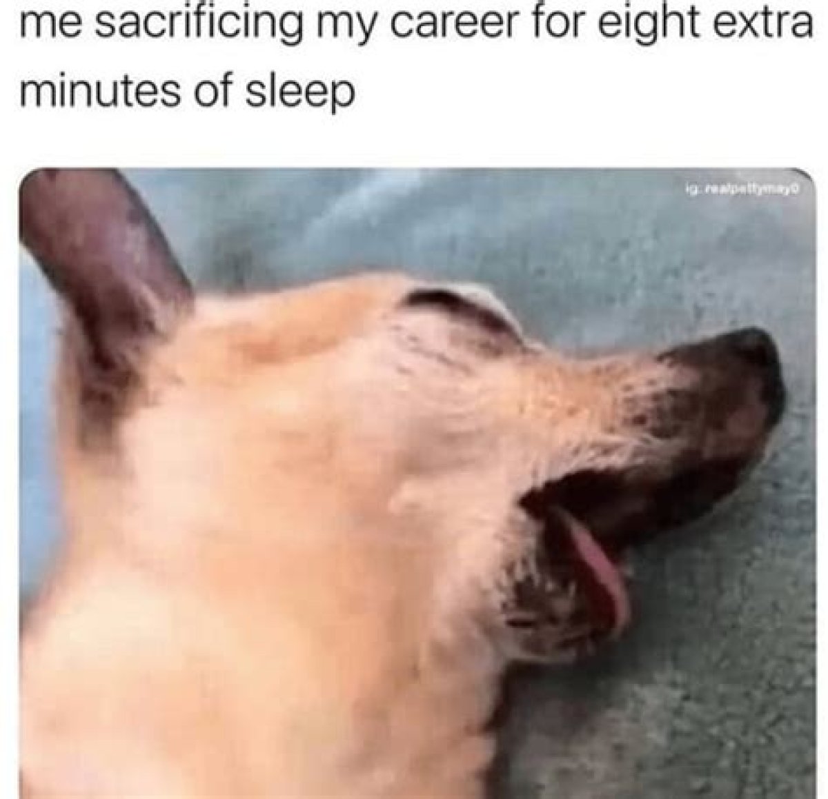 Exploring the World of Exhausted Memes: a Deep Dive into the Phenomenon