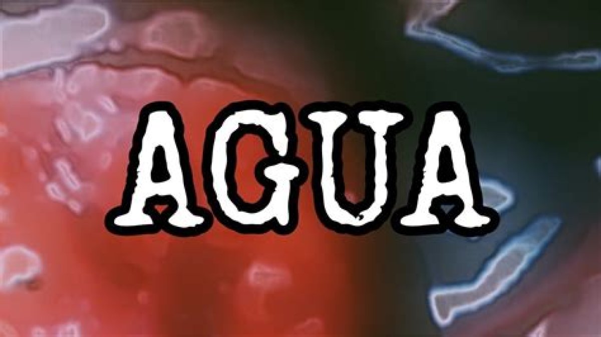 Exploring the World of "Video Gore Quiero Agua": a Deep Dive into Shocking Content