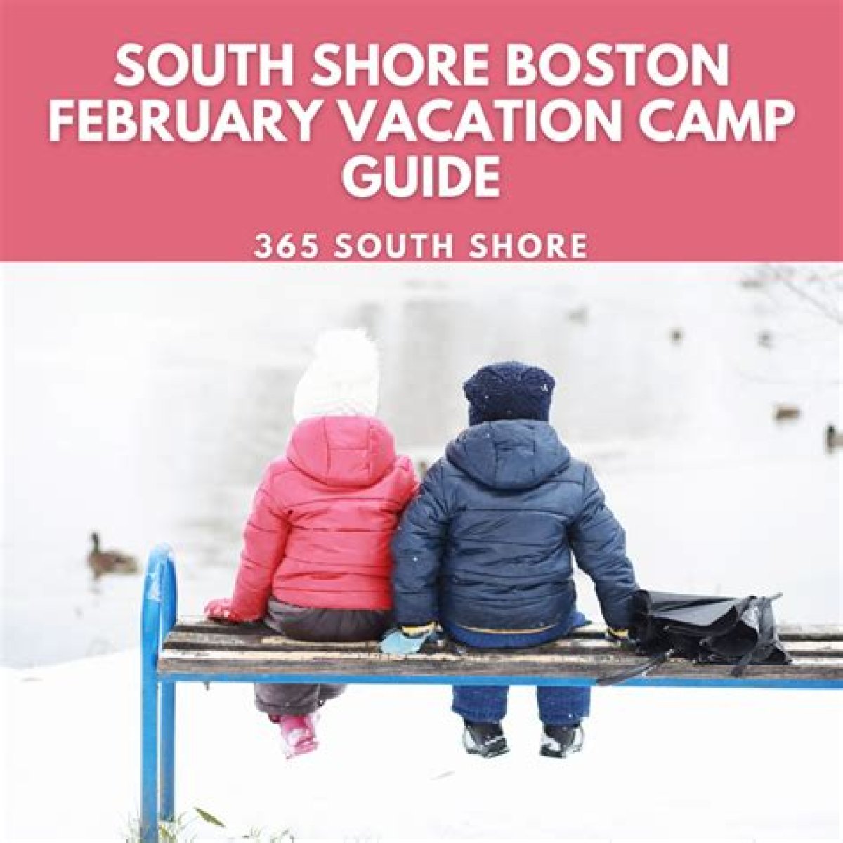 February Vacation Programs at the South Shore Natural Science Center