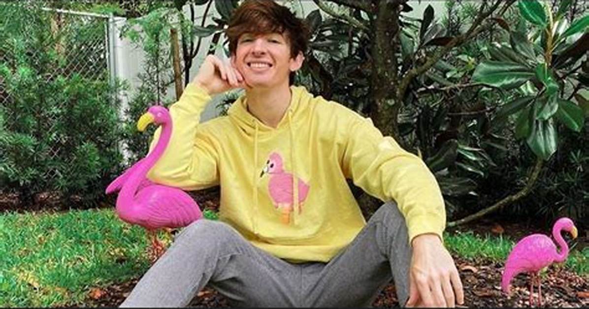 Flamingo Net Worth: How Rich Is the Youtuber? . His Age & Facts About Him