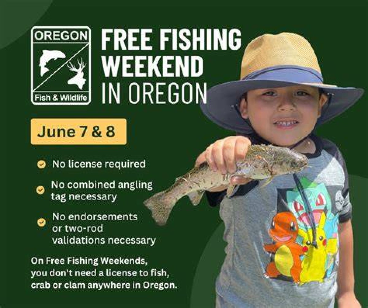 Free Fishing Days | Macaroni Kid Binghamton