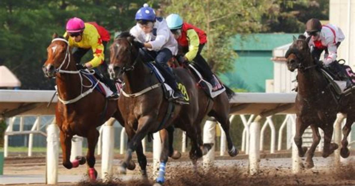 Golden Sixty and Galaxy Patch Tune up for Champions Mile with Strong Trial Wins at Sha Tin | Hk Racing