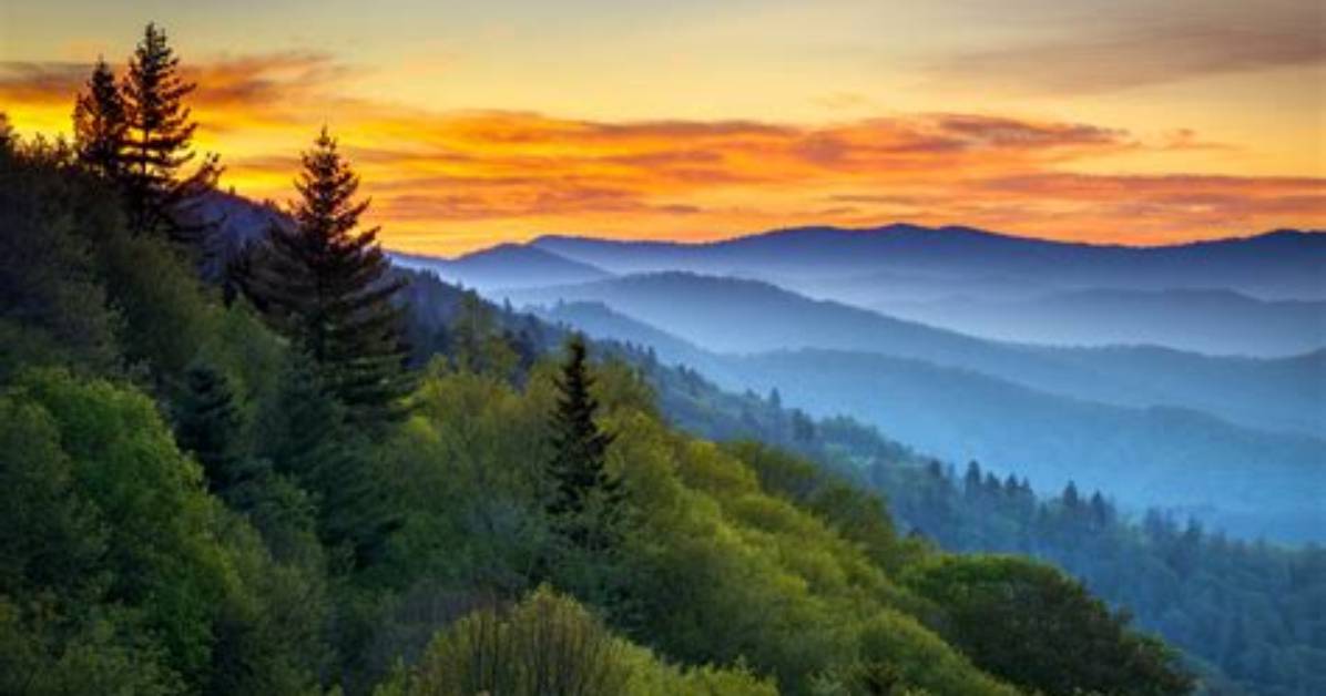 Great Smoky Mountains | the National Parks: America's Best Idea | Ken Burns
