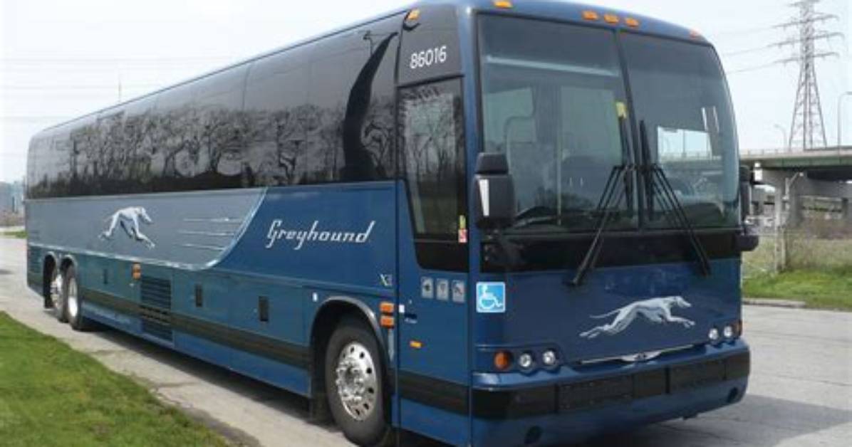Greyhound Vehicle for Intercity Travel