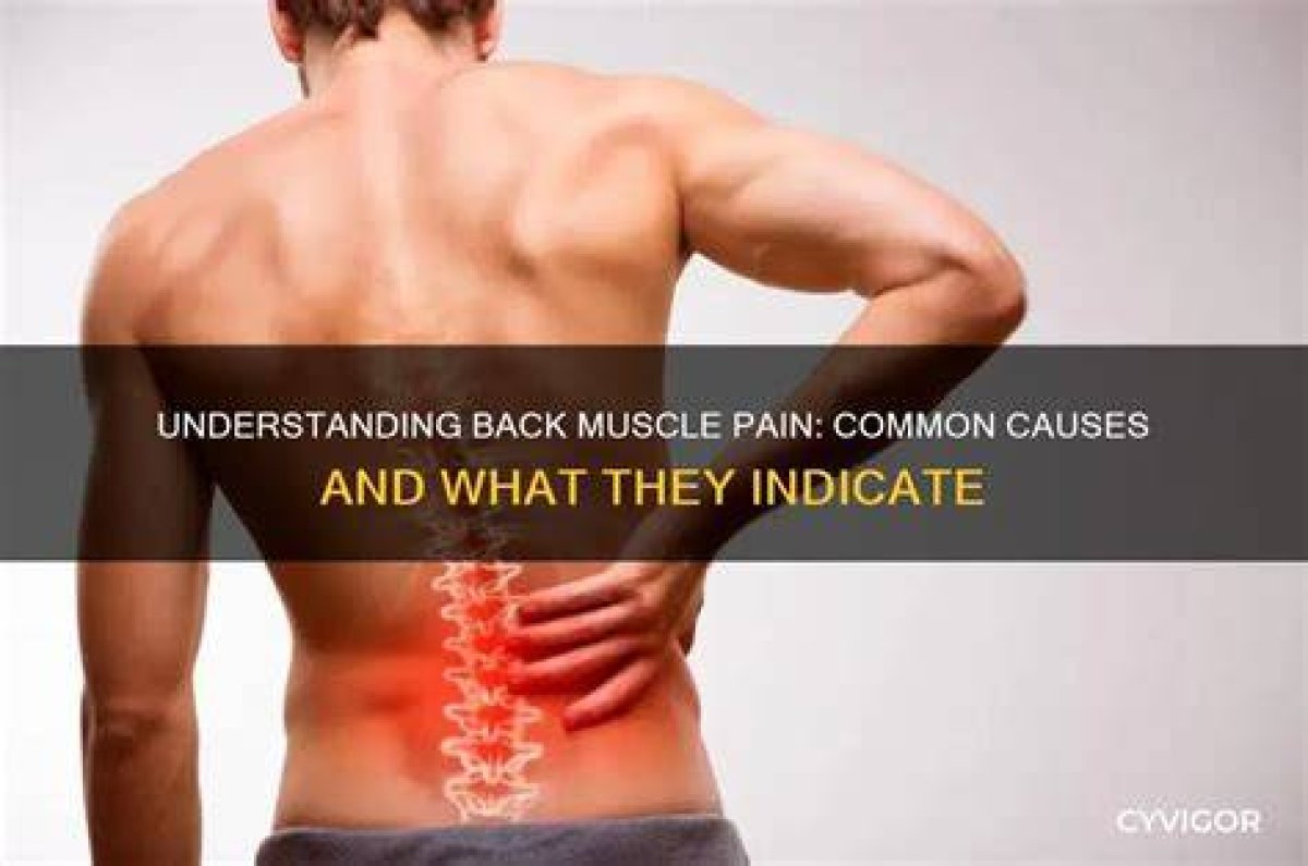 Had Back or Muscle Pains