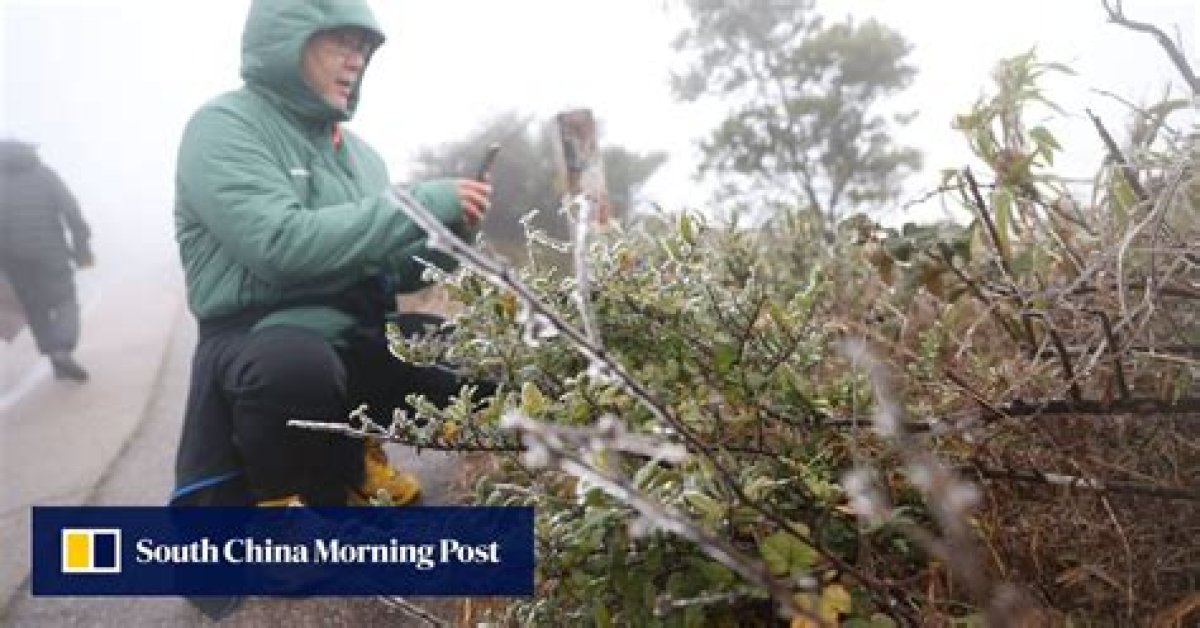 Hong Kong Feels the Chill as Temperatures Drop to 6 Degrees Celsius, Lowest This Winter Amid Frost on Highest Peak