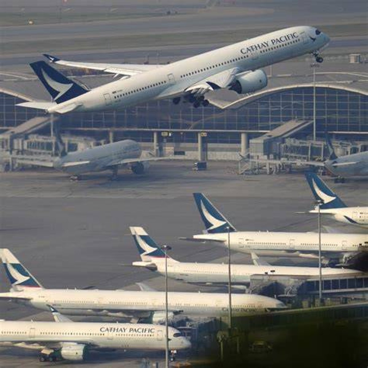 Hong Kong Flights to Barcelona, Chicago, Chennai, Adelaide and More – the Direct International Air Routes That Still Haven’t Resumed After the Covid-19 Pandemic