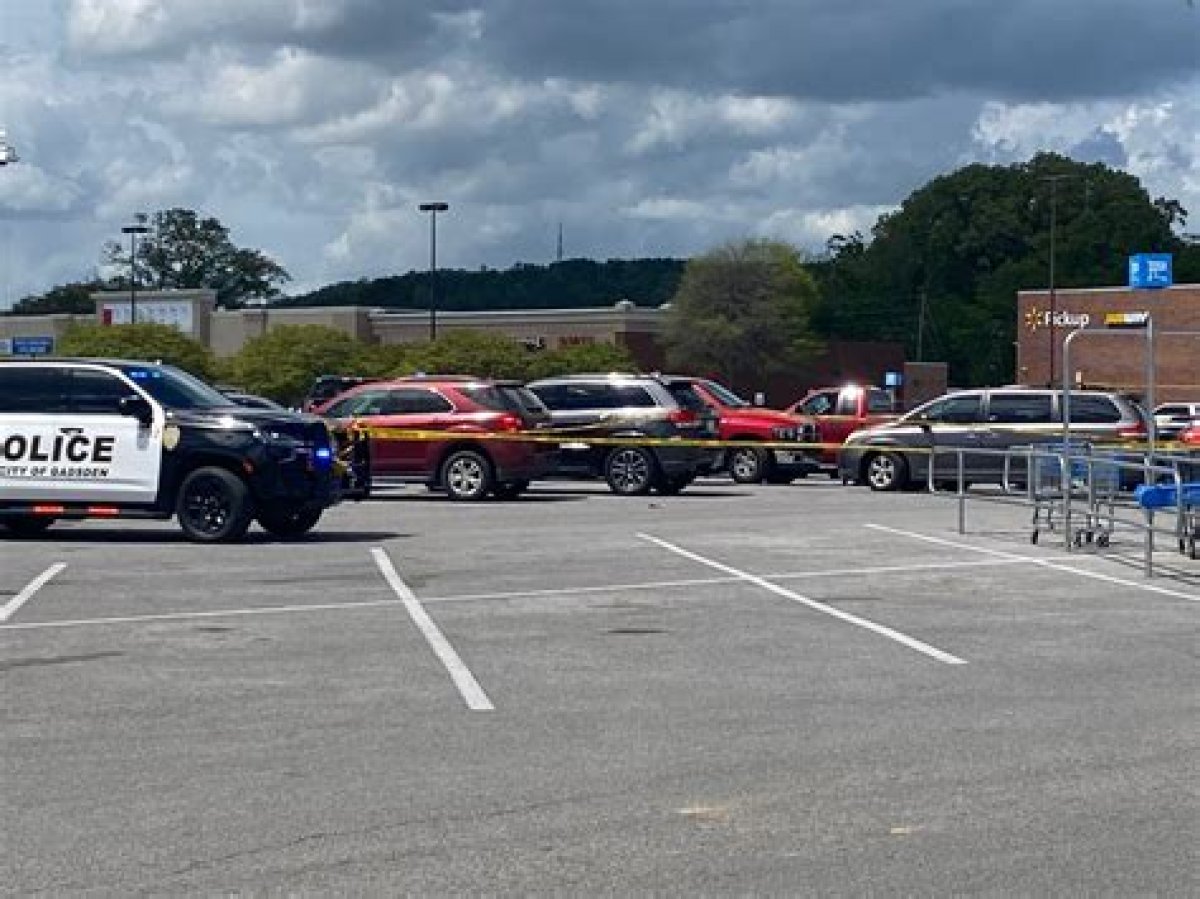 How a Parking Lot Shooting Claimed Alexandria Borys Life After Her Brother’s Death