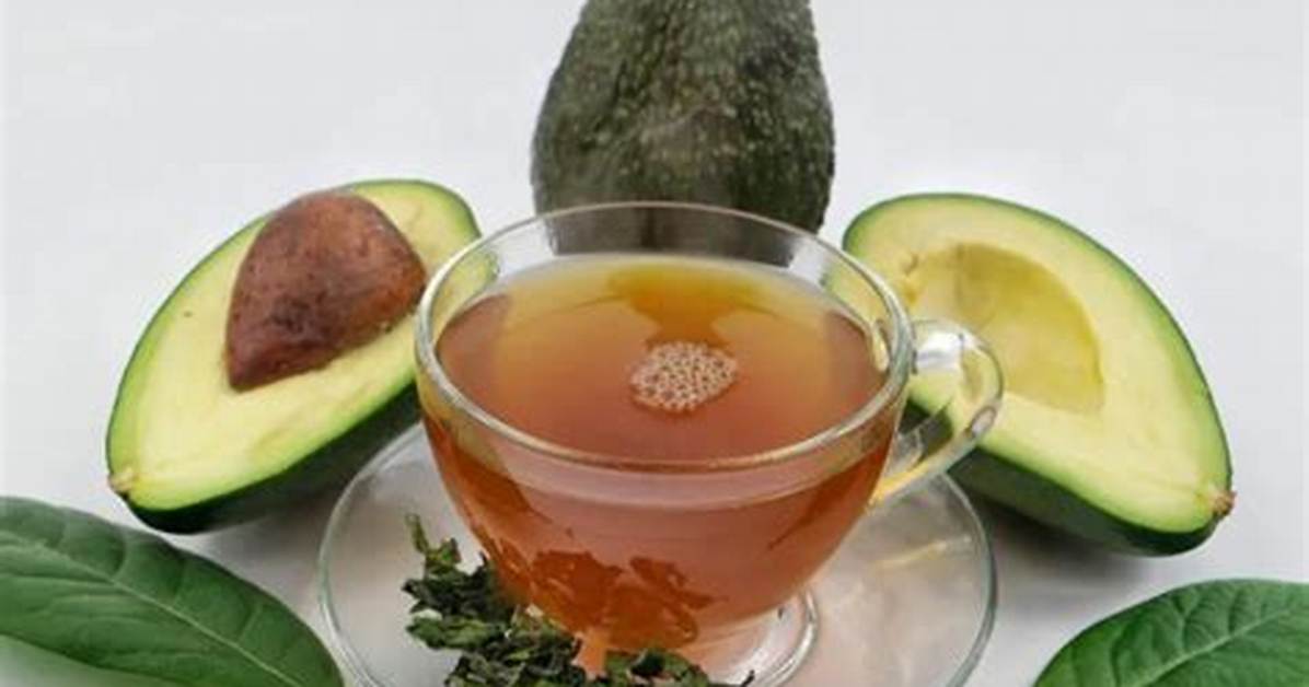 How Avocado Seed Tea Dials Down Inflammation