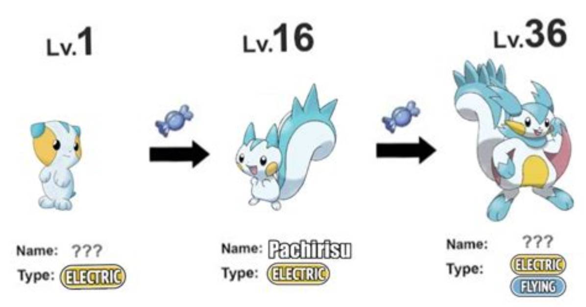 How Do You Evolve Pachirisu?