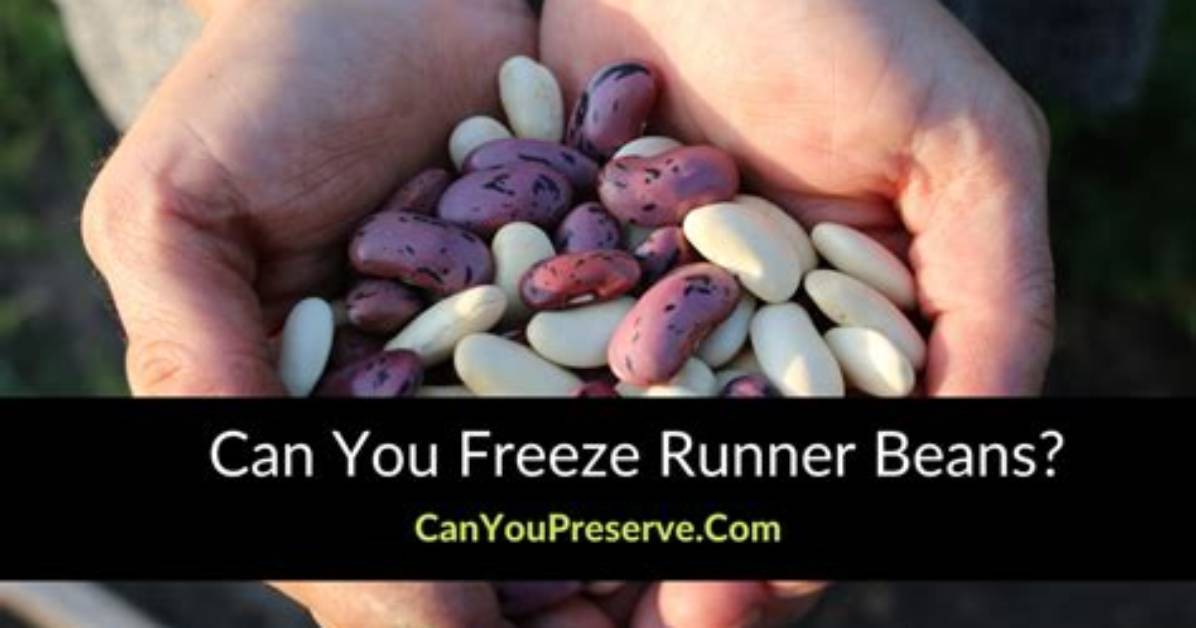 How Do You Preserve Runner Beans?