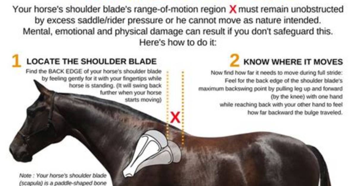 How Do You Put a Saddle on a Horse in Skyrim?