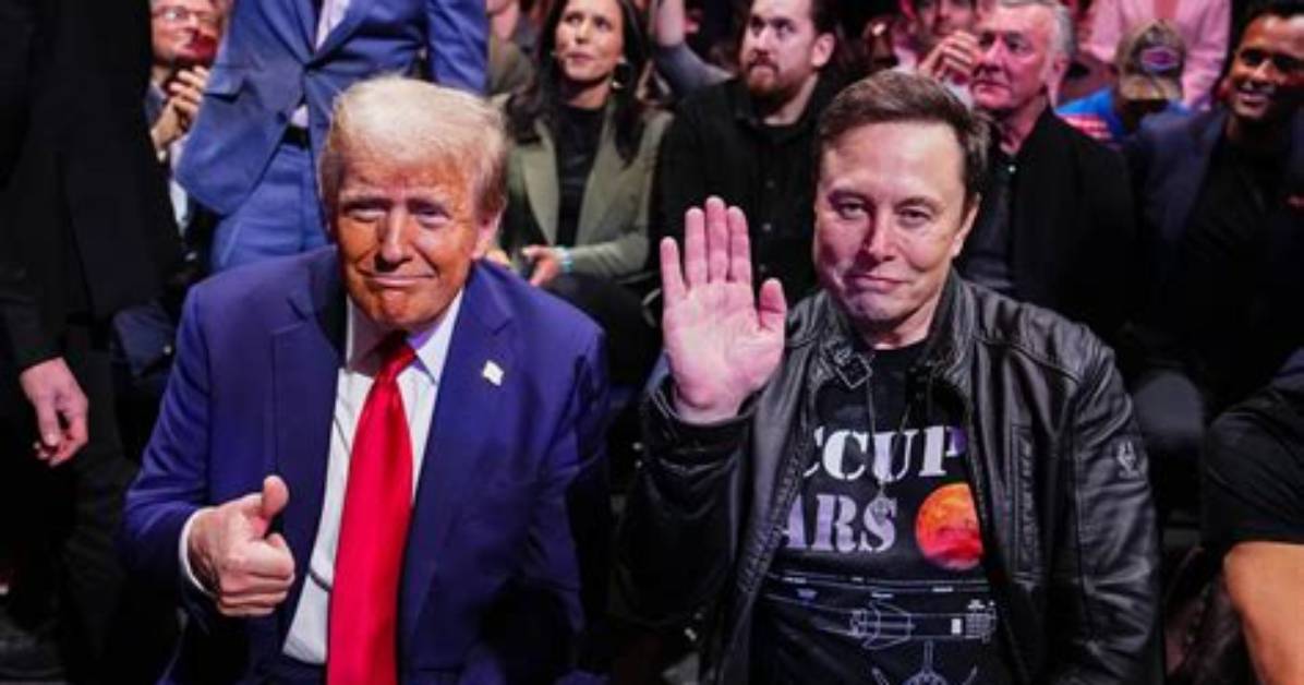 How Elon Musk and Donald Trump Dodge Jet-Trackers on Twitter by Flying Incognito – but Does It Work? Lvmh Boss Bernard Arnault and Apple Ceo Tim Cook Prefer to Rent Planes Instead