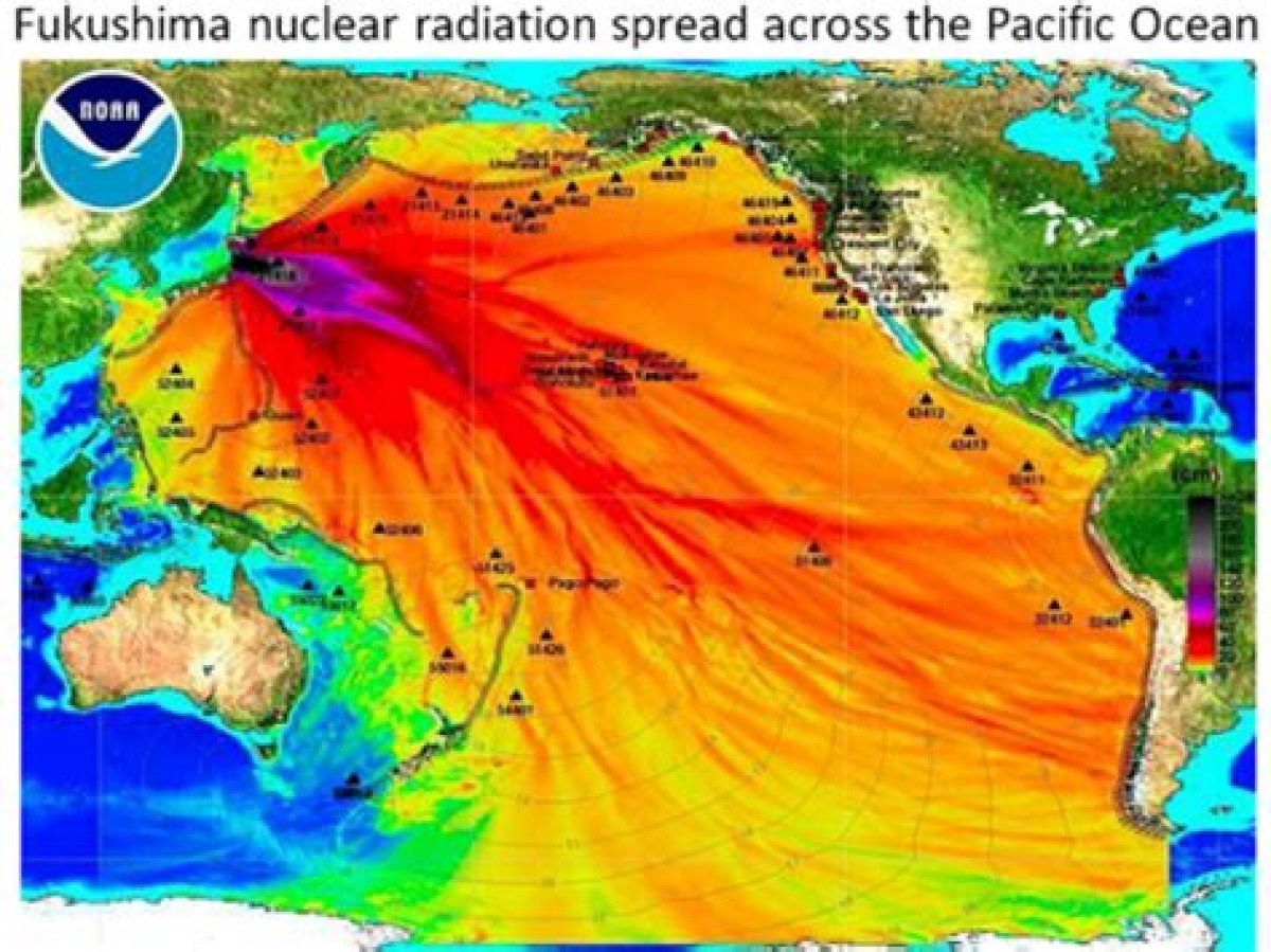 How Far Did Radiation Travel from Fukushima?